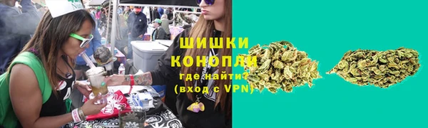стаф Зеленодольск