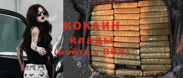 стафф Зерноград